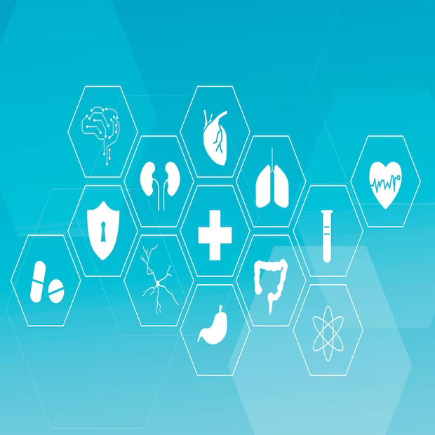 Students in a class room; Credit: @sambalye on Unsplash